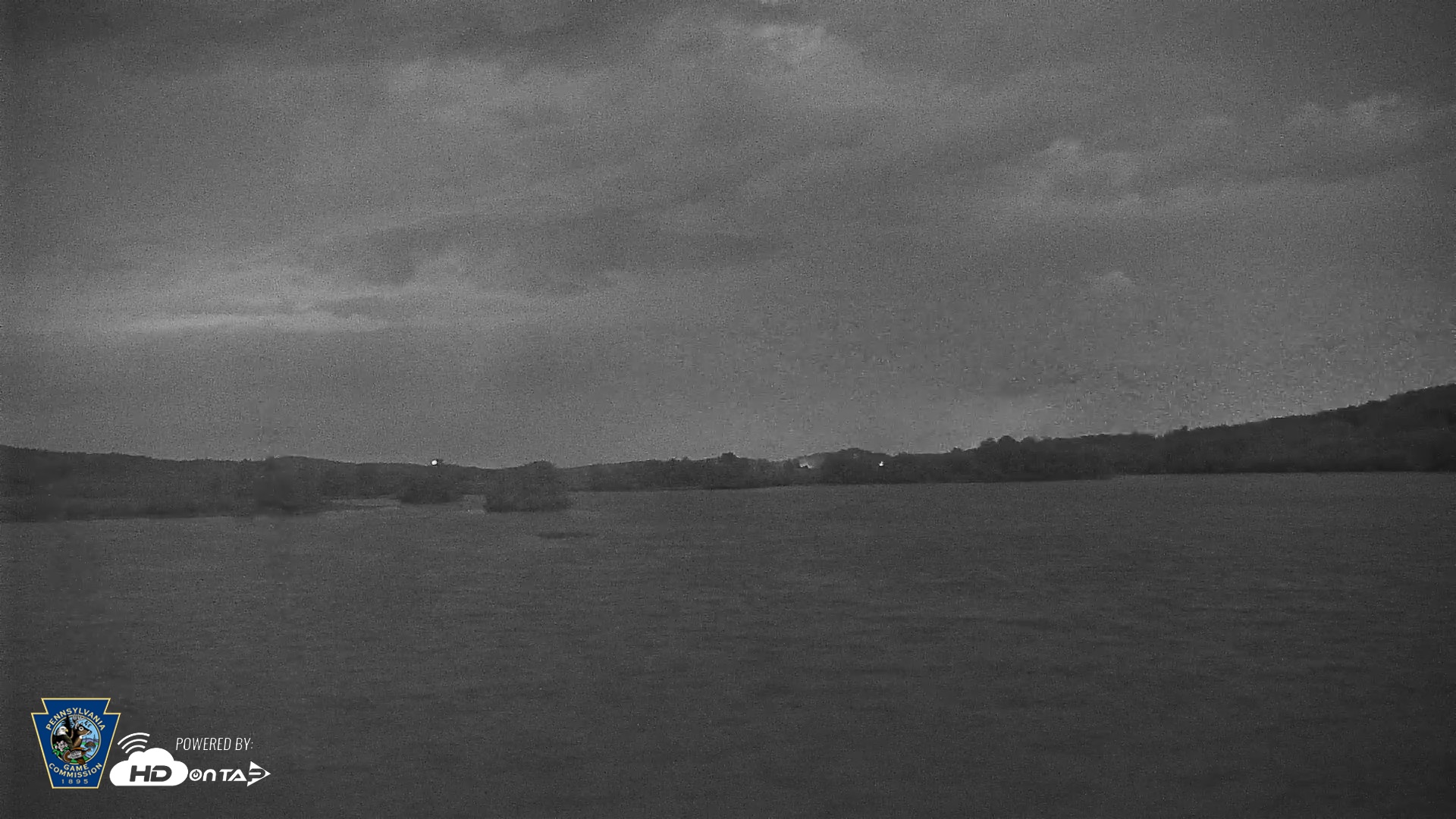 Snapshot of Pennsylvania Snow Geese Live Webcam taken Sep 1, 2026, 8:20pm EDT