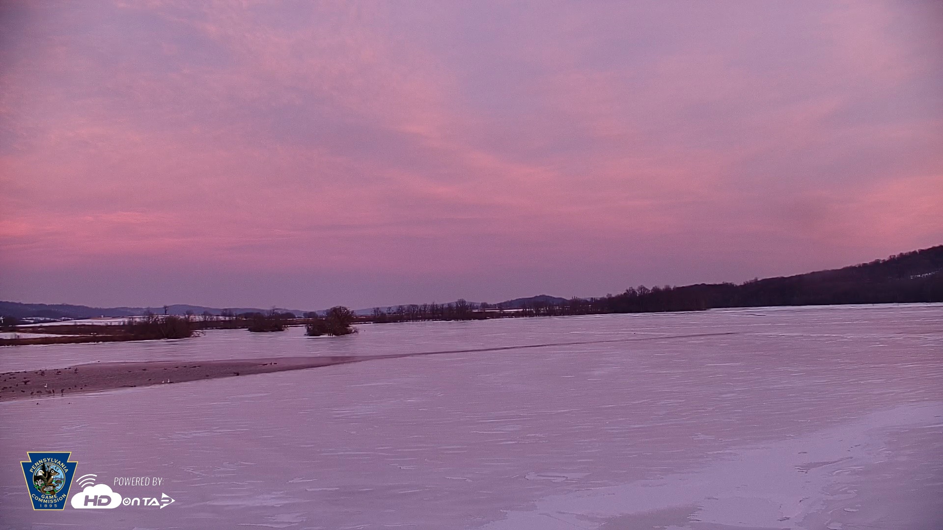 Snapshot of Pennsylvania Snow Geese Live Webcam taken Feb 10, 2026, 5:38pm EST