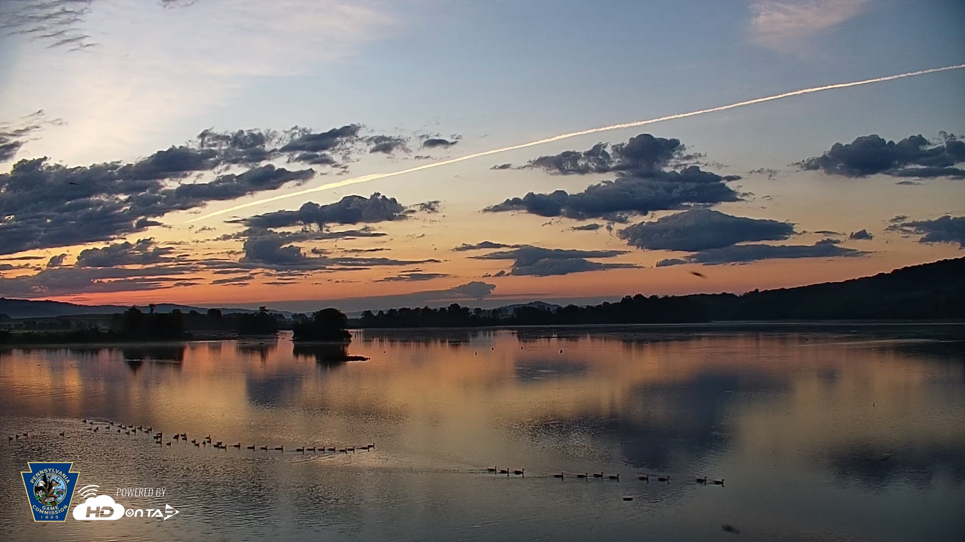 Snapshot of Pennsylvania Snow Geese Live Webcam taken Aug 19, 2026, 6:19am EDT