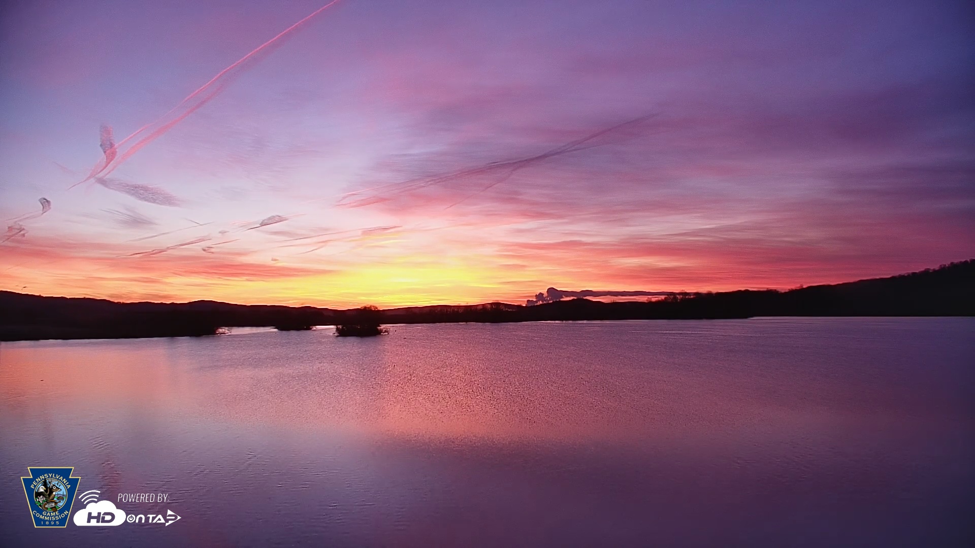 Snapshot of Pennsylvania Snow Geese Live Webcam taken Mar 18, 2026, 6:58am EDT