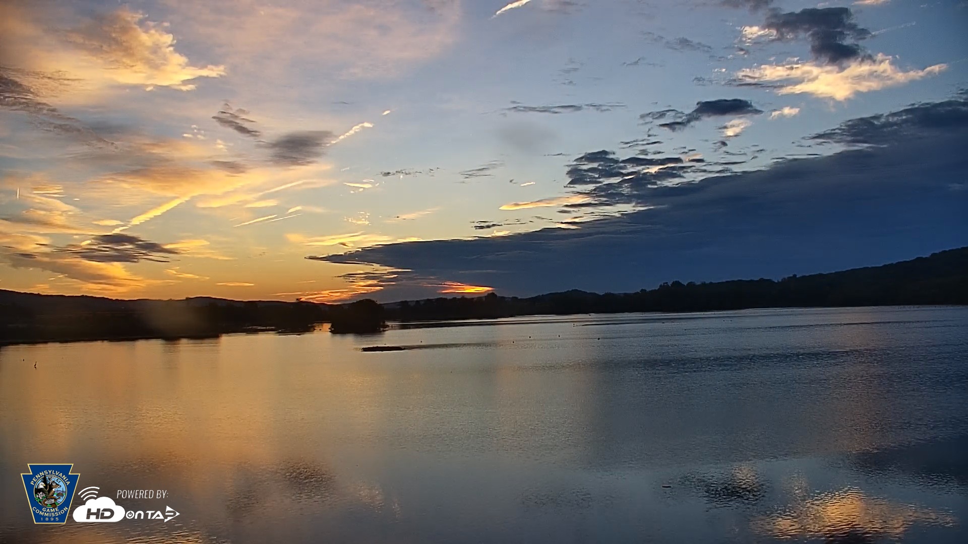 Snapshot of Pennsylvania Snow Geese Live Webcam taken Oct 3, 2026, 7:06am EDT