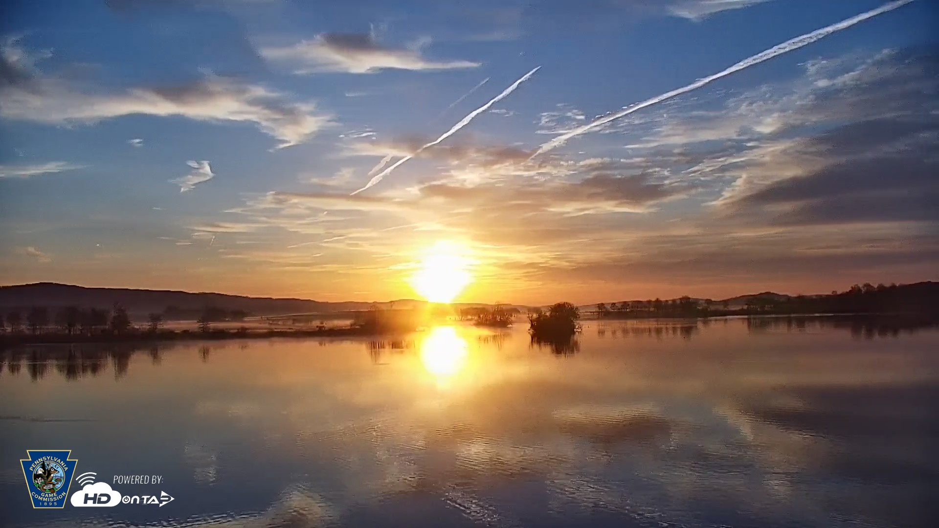 Snapshot of Pennsylvania Snow Geese Live Webcam taken Apr 14, 2026, 6:41am EDT