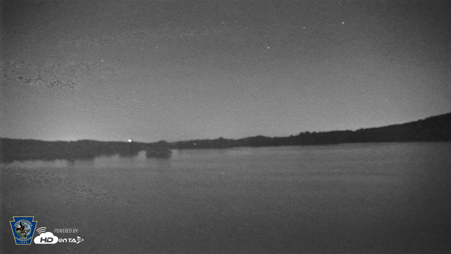 Snapshot of Pennsylvania Snow Geese Live Webcam taken Jun 8, 2026, 1:10am EDT