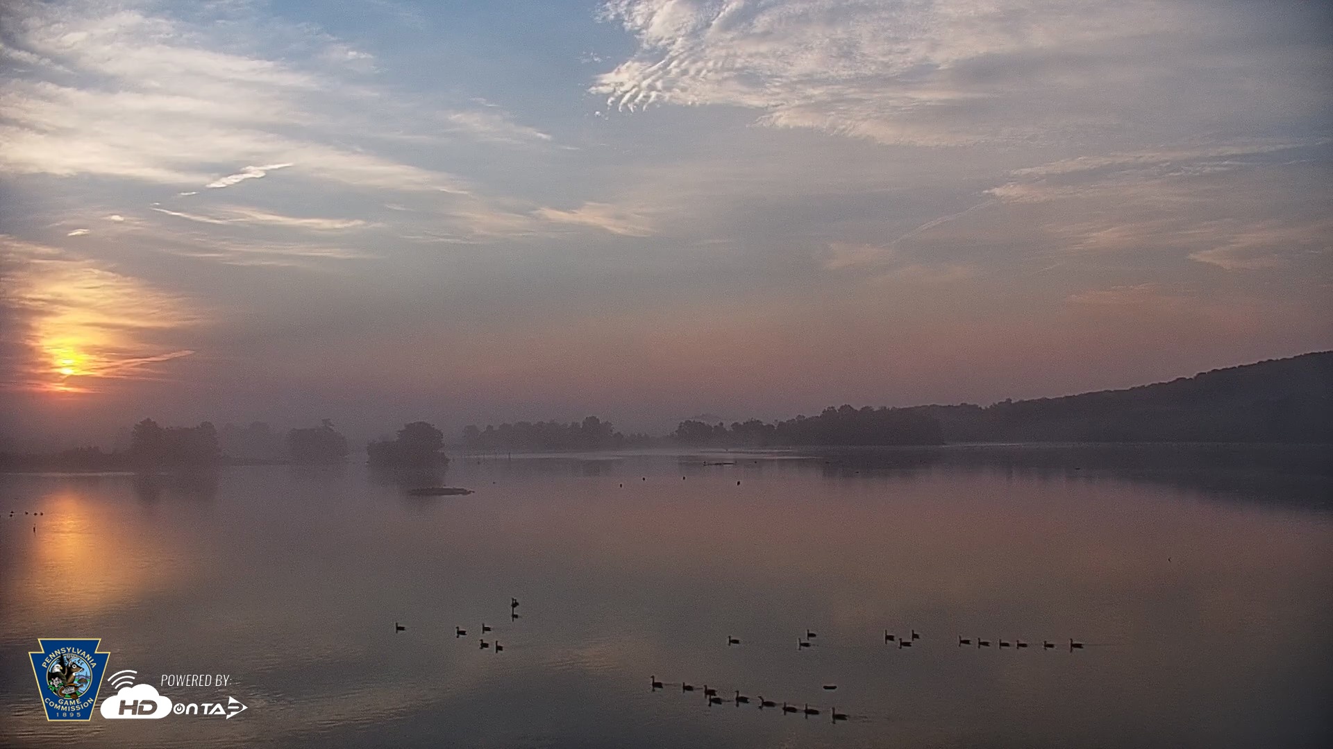 Snapshot of Pennsylvania Snow Geese Live Webcam taken Aug 9, 2026, 6:28am EDT