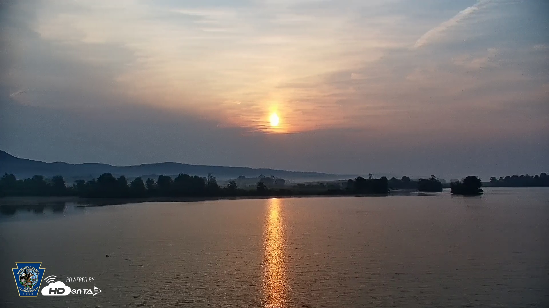 Snapshot of Pennsylvania Snow Geese Live Webcam taken Jun 6, 2025, 6:19am EDT