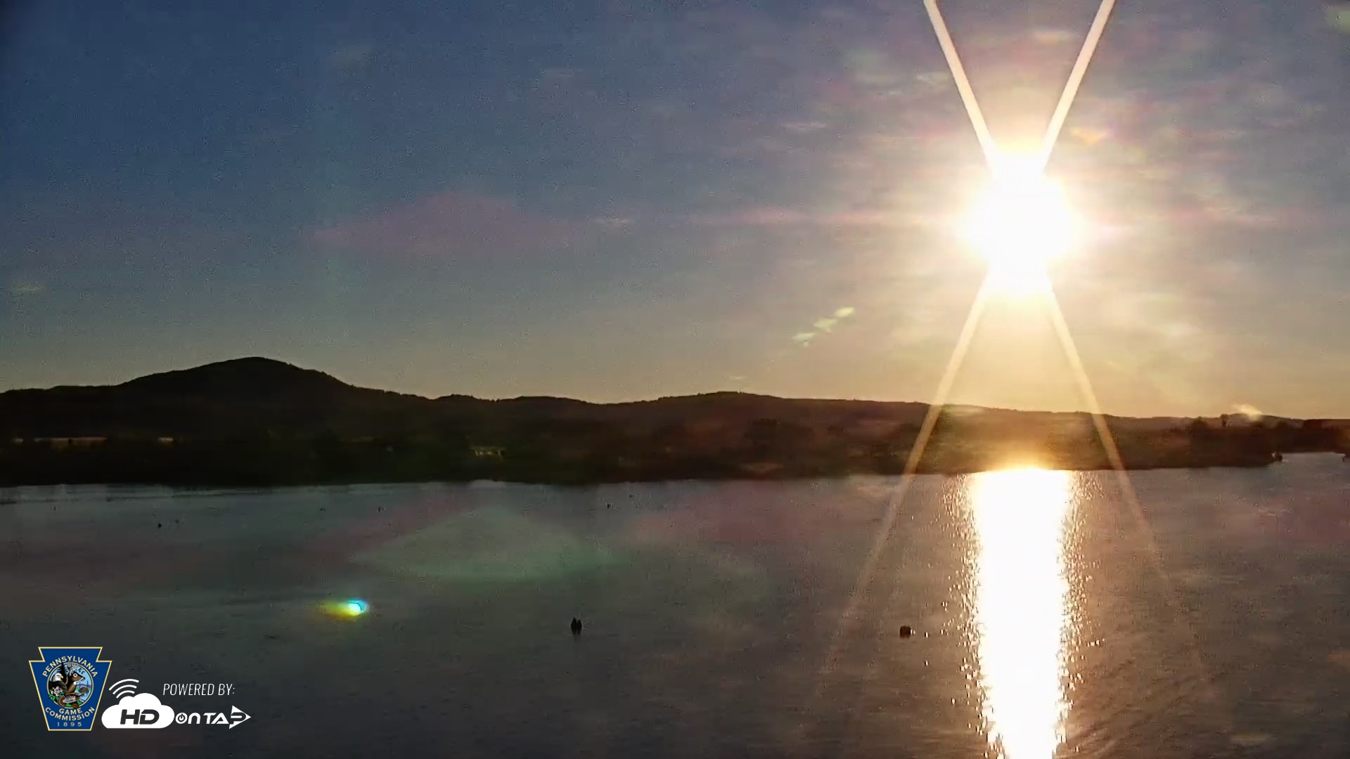 Snapshot of Pennsylvania Snow Geese Live Webcam taken Jun 20, 2026, 6:36am EDT
