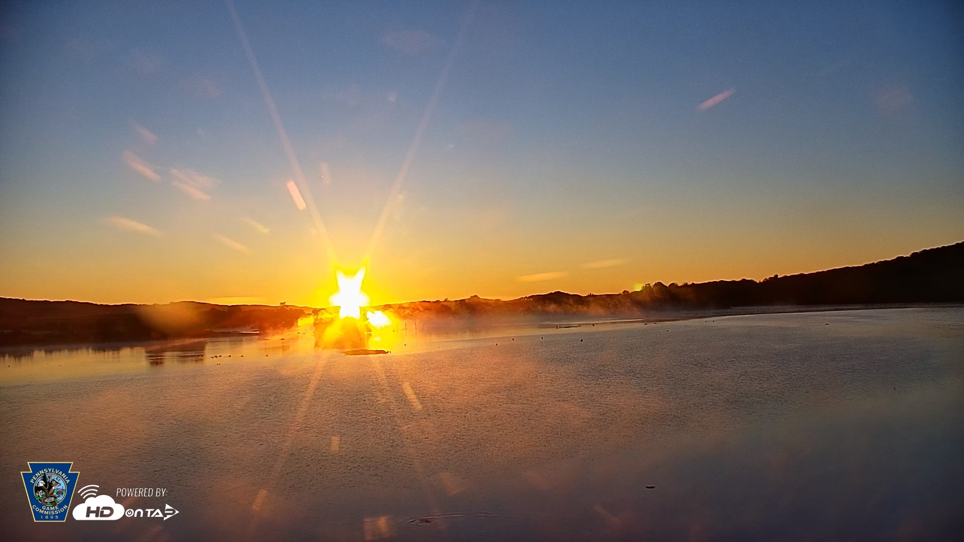 Snapshot of Pennsylvania Snow Geese Live Webcam taken Sep 15, 2026, 6:52am EDT