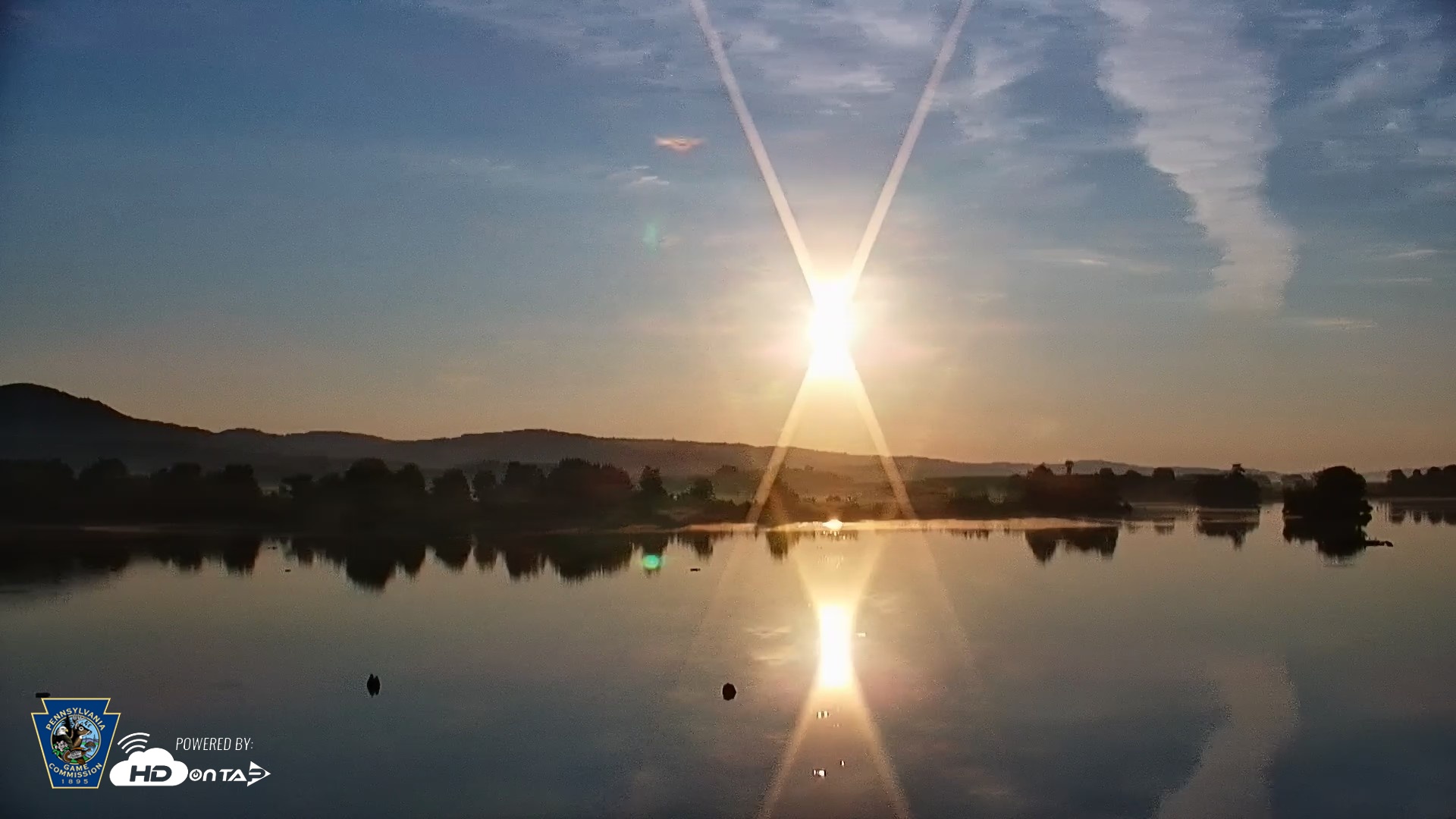 Snapshot of Pennsylvania Snow Geese Live Webcam taken Jul 12, 2026, 6:28am EDT