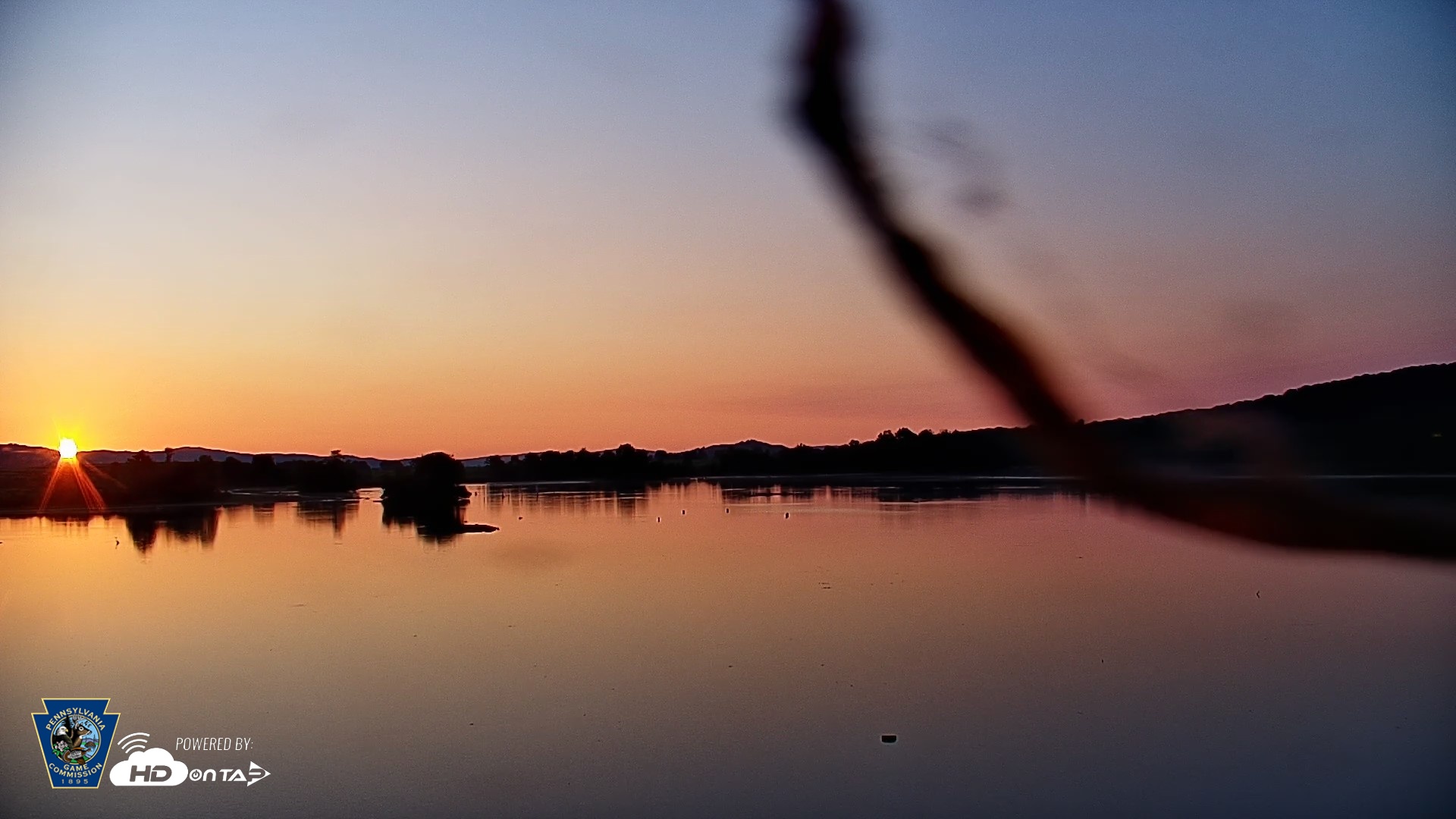 Snapshot of Pennsylvania Snow Geese Live Webcam taken Aug 15, 2026, 6:23am EDT