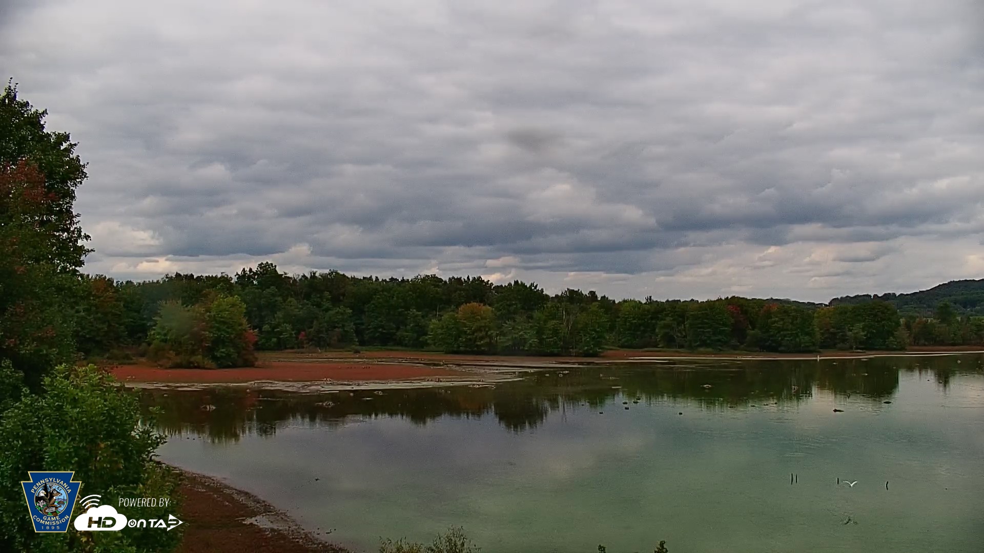 Snapshot of Pennsylvania Snow Geese Live Webcam taken Sep 30, 2026, 2:44pm EDT