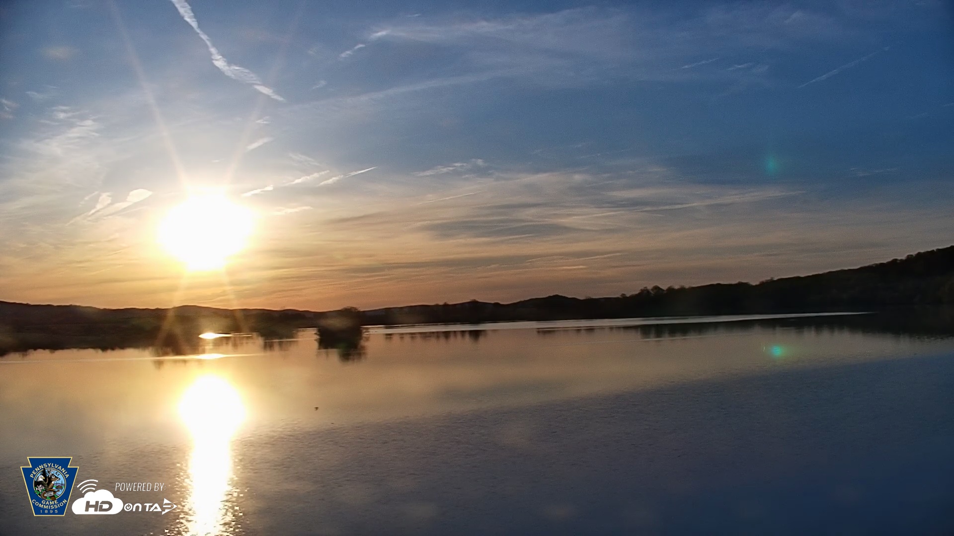 Snapshot of Pennsylvania Snow Geese Live Webcam taken Apr 23, 2025, 6:48am EDT