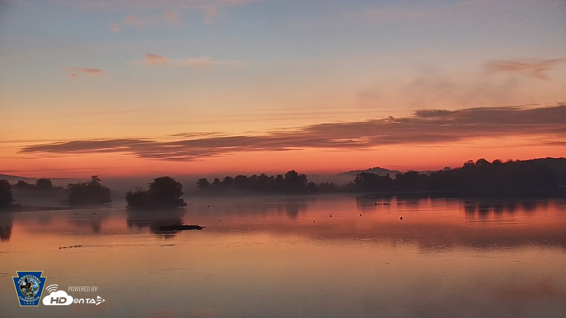 Snapshot of Pennsylvania Snow Geese Live Webcam taken Oct 2, 2026, 6:30am EDT