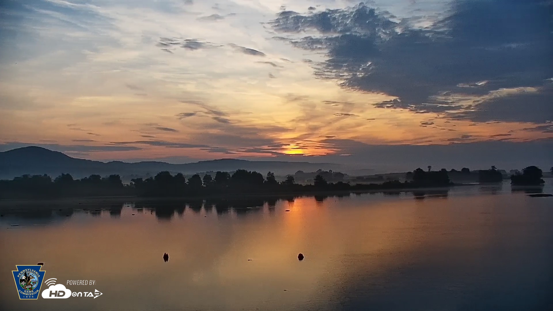 Snapshot of Pennsylvania Snow Geese Live Webcam taken Jul 5, 2026, 5:57am EDT