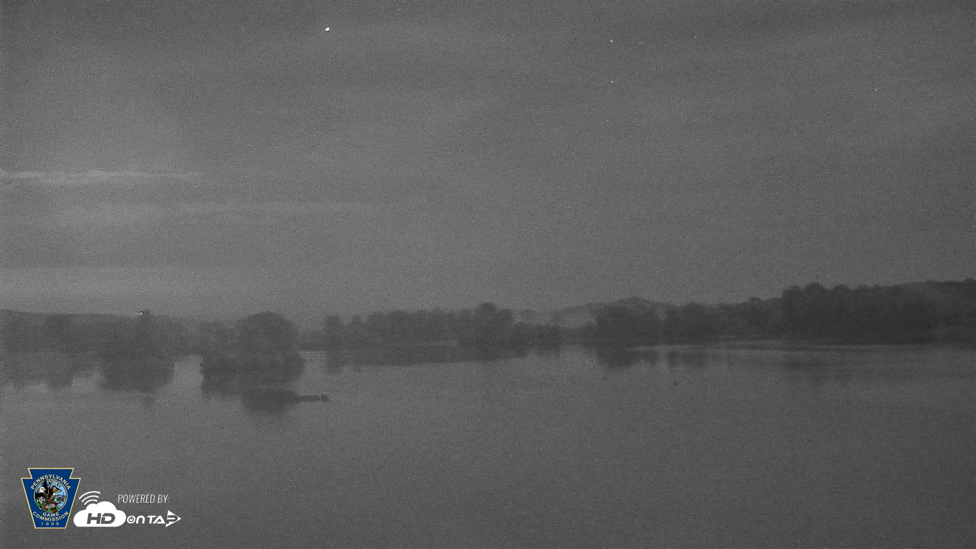 Snapshot of Pennsylvania Snow Geese Live Webcam taken Sep 2, 2026, 2:44am EDT