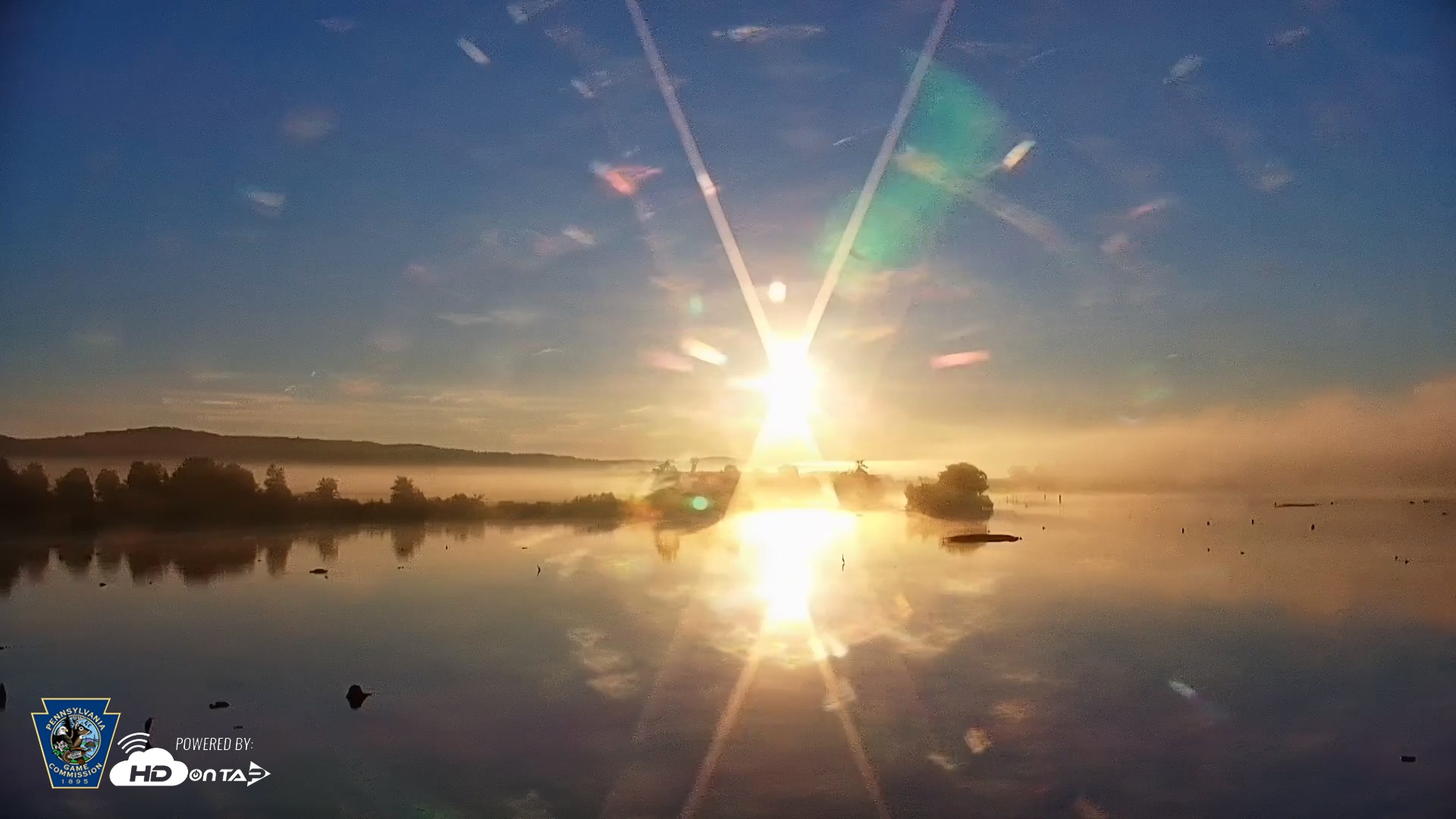 Snapshot of Pennsylvania Snow Geese Live Webcam taken Aug 26, 2026, 6:51am EDT