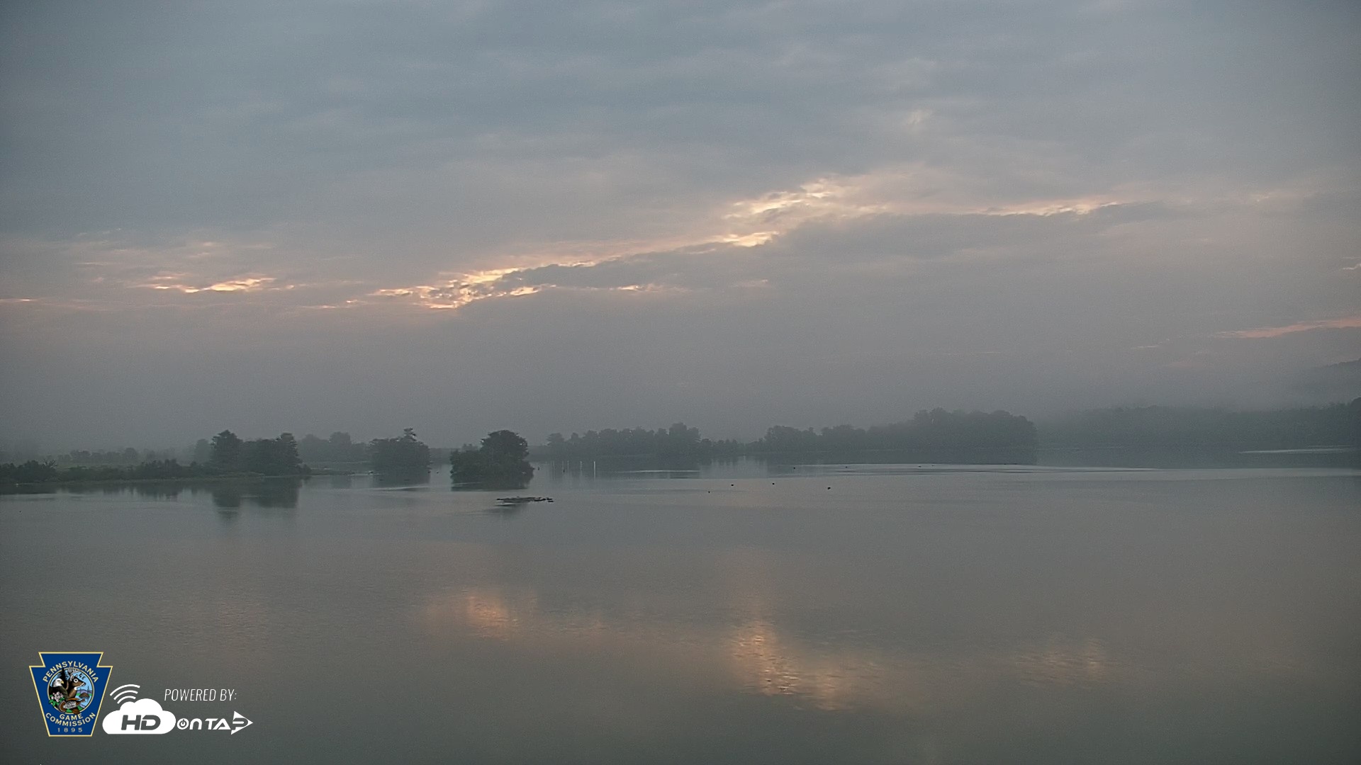 Snapshot of Pennsylvania Snow Geese Live Webcam taken Sep 1, 2026, 6:26am EDT