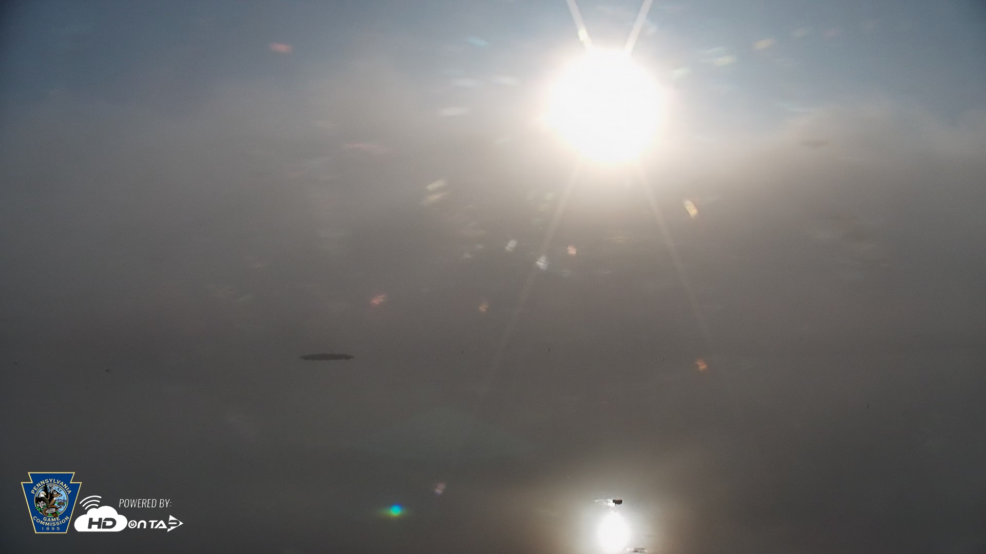 Snapshot of Pennsylvania Snow Geese Live Webcam taken Sep 28, 2025, 8:12am EDT