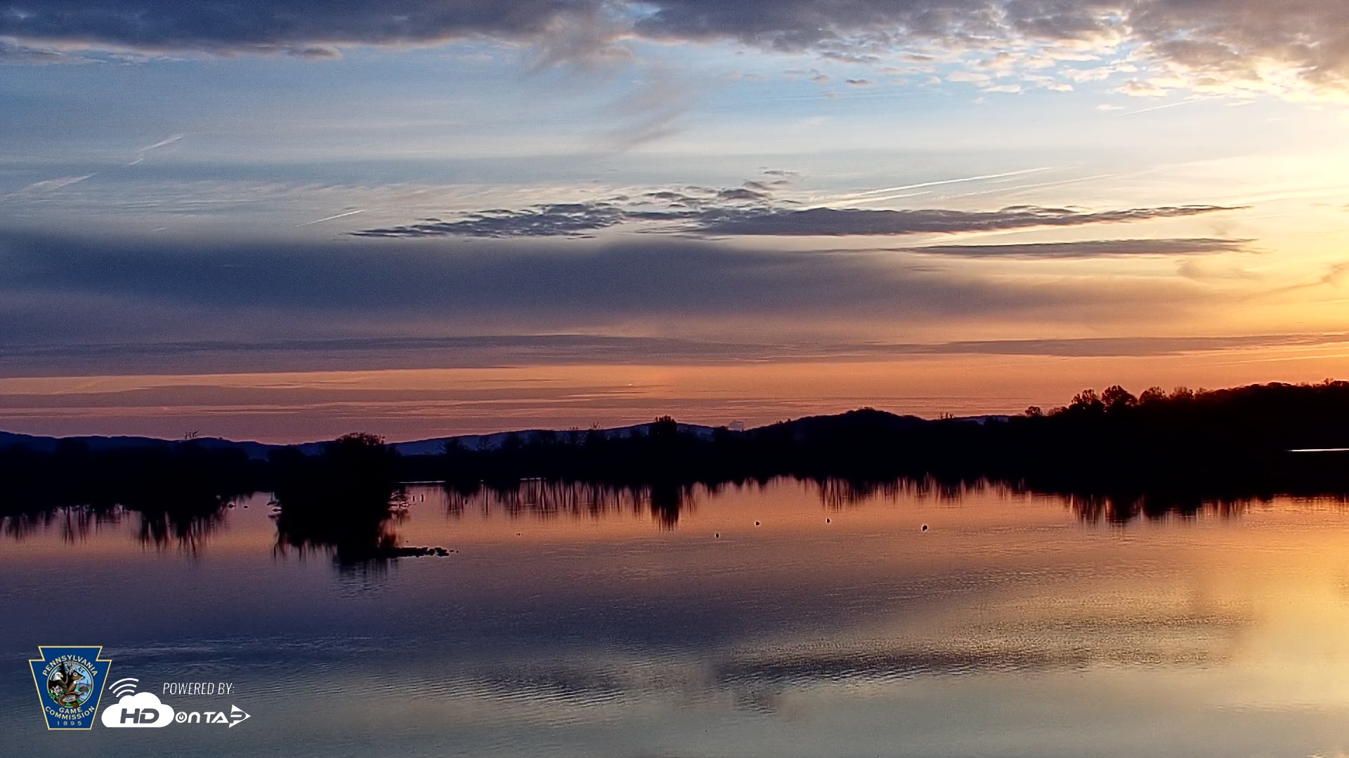 Snapshot of Pennsylvania Snow Geese Live Webcam taken Nov 15, 2025, 7:03am EST