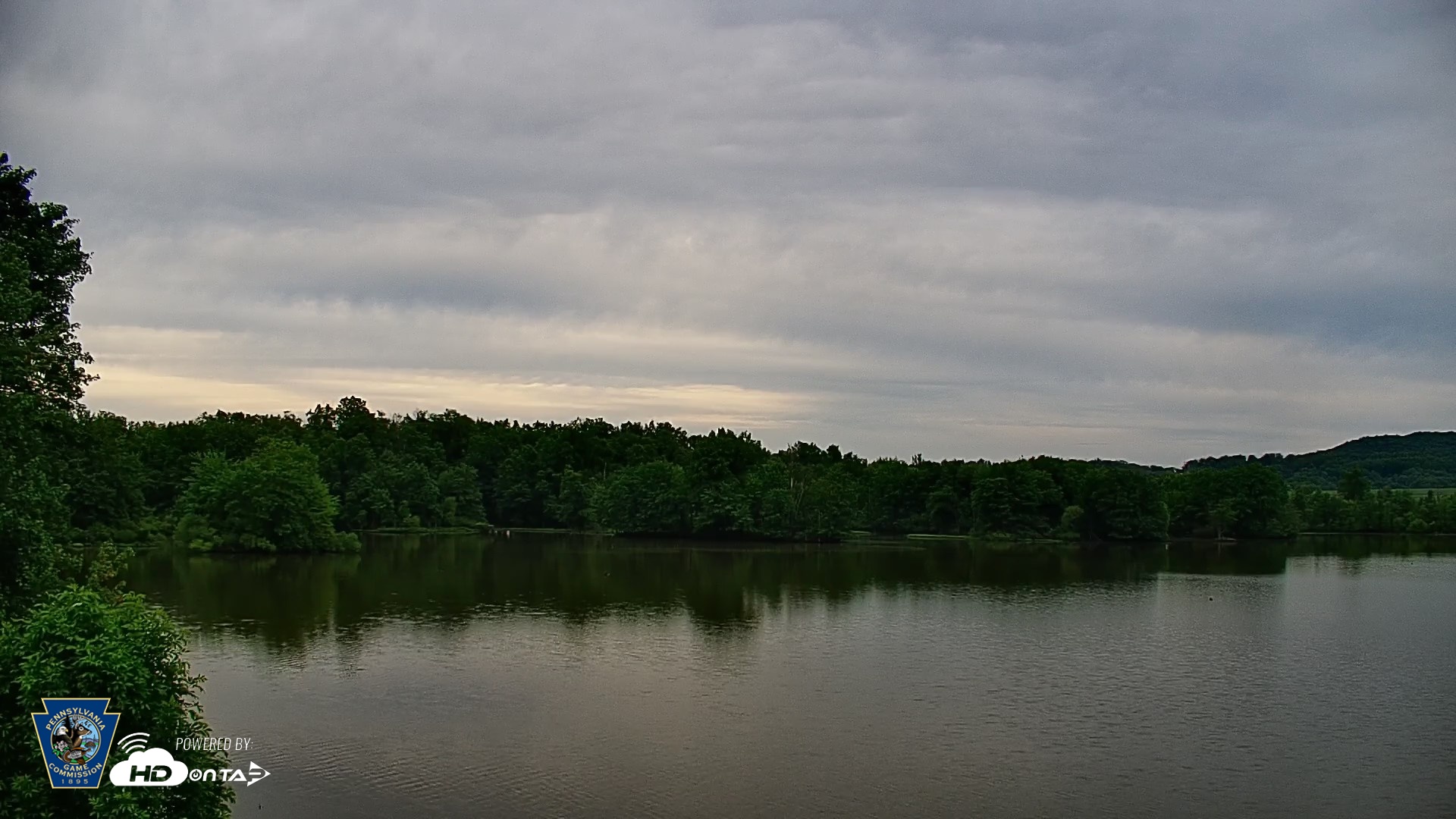 Snapshot of Pennsylvania Snow Geese Live Webcam taken May 21, 2026, 7:09pm EDT