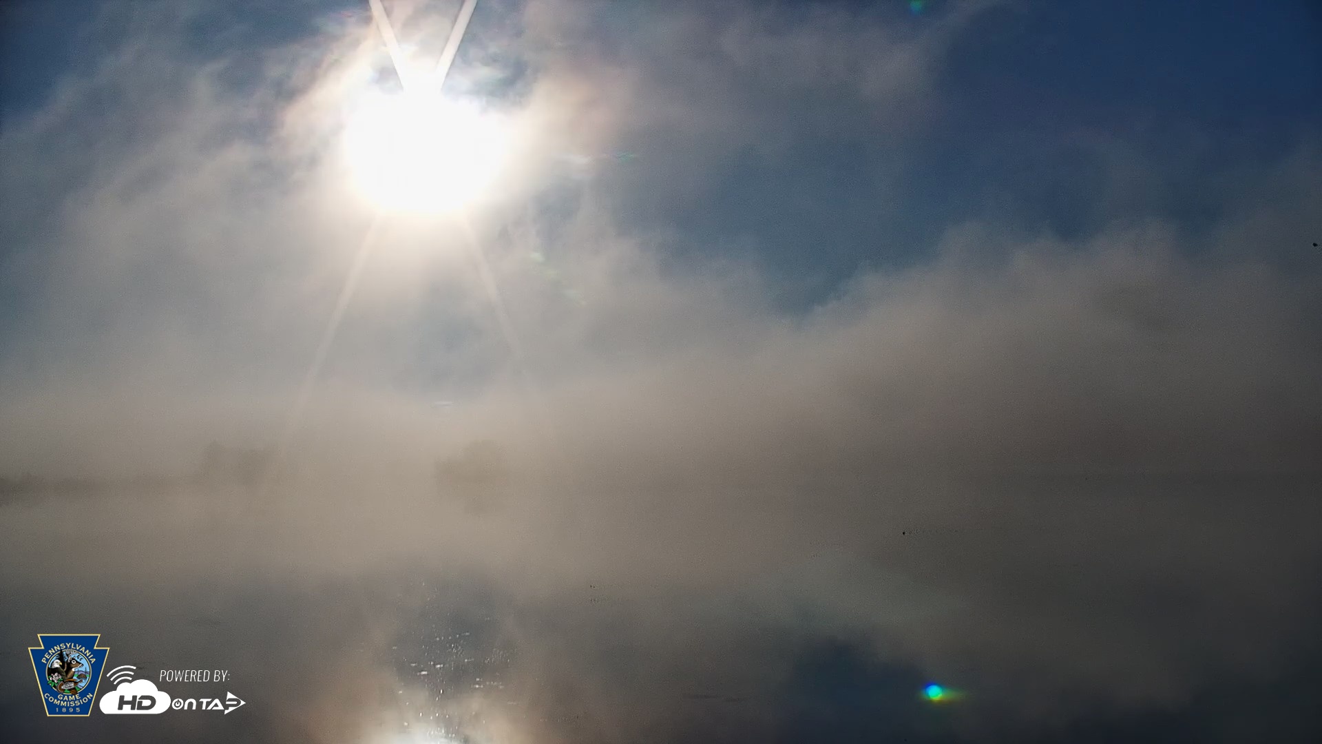 Snapshot of Pennsylvania Snow Geese Live Webcam taken Apr 27, 2026, 7:33am EDT