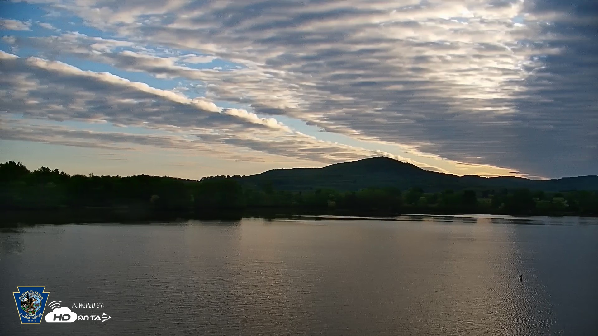 Snapshot of Pennsylvania Snow Geese Live Webcam taken May 7, 2026, 6:46am EDT