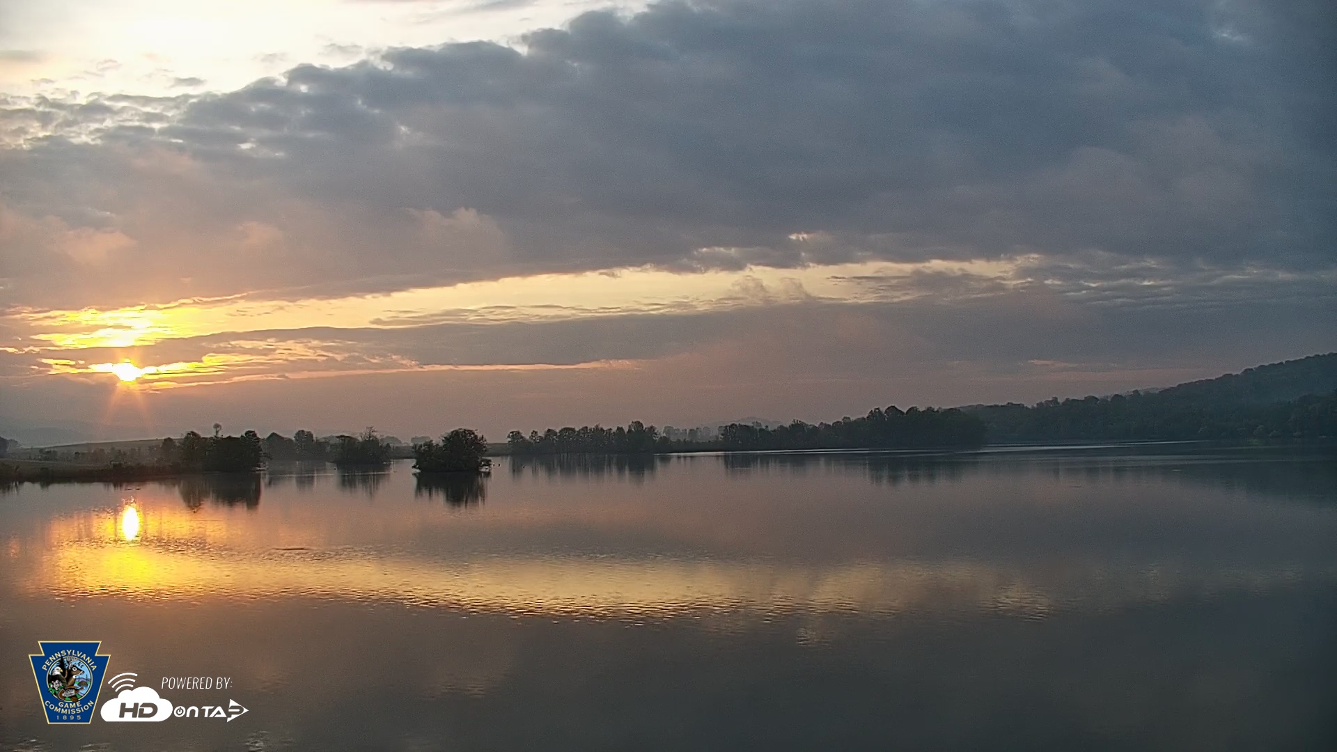 Snapshot of Pennsylvania Snow Geese Live Webcam taken May 2, 2025, 6:24am EDT