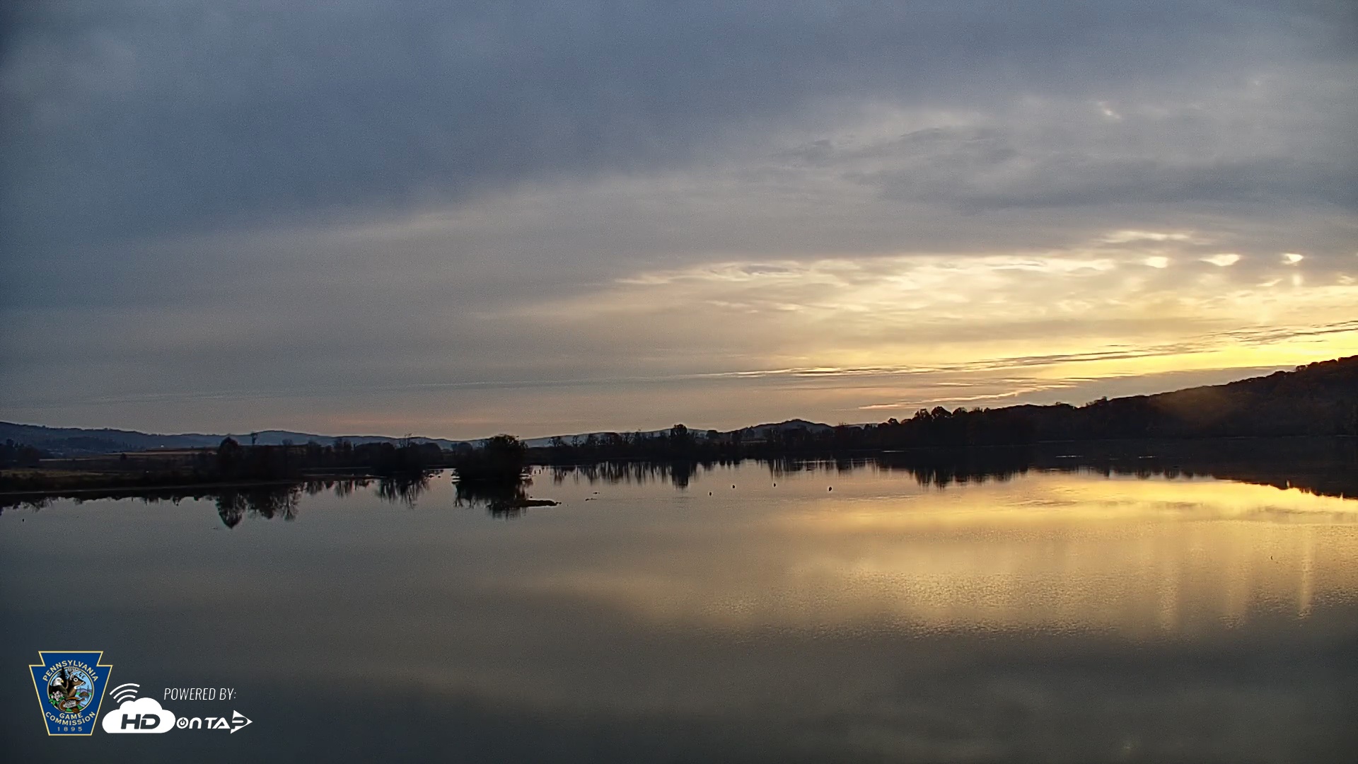 Snapshot of Pennsylvania Snow Geese Live Webcam taken Nov 3, 2025, 7:44am EST