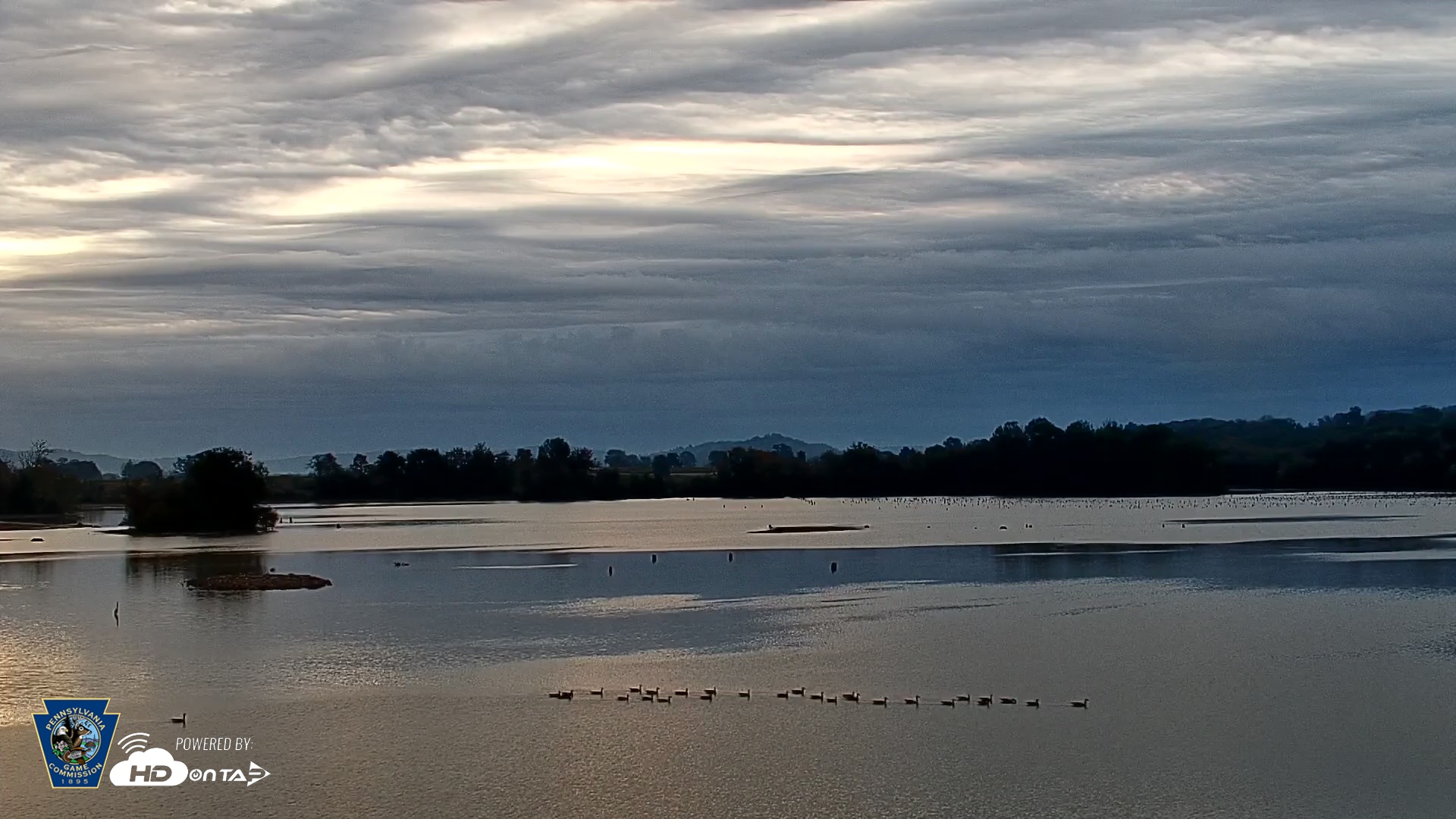 Snapshot of Pennsylvania Snow Geese Live Webcam taken Oct 11, 2025, 7:21am EDT