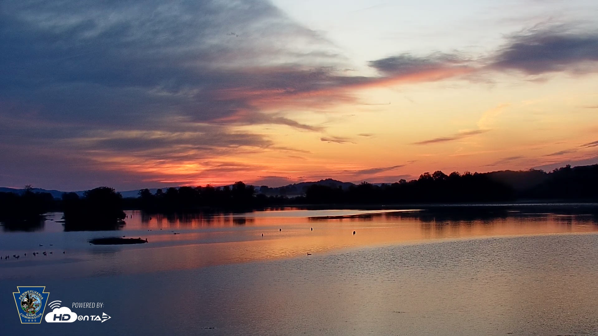 Snapshot of Pennsylvania Snow Geese Live Webcam taken Sep 29, 2025, 6:53am EDT