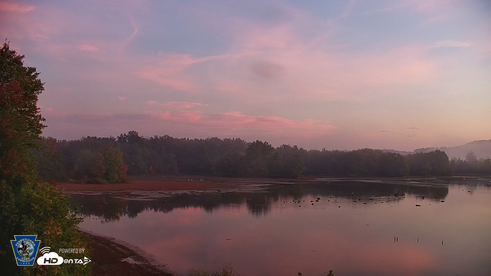 Snapshot of Pennsylvania Snow Geese Live Webcam taken Oct 2, 2026, 6:51am EDT