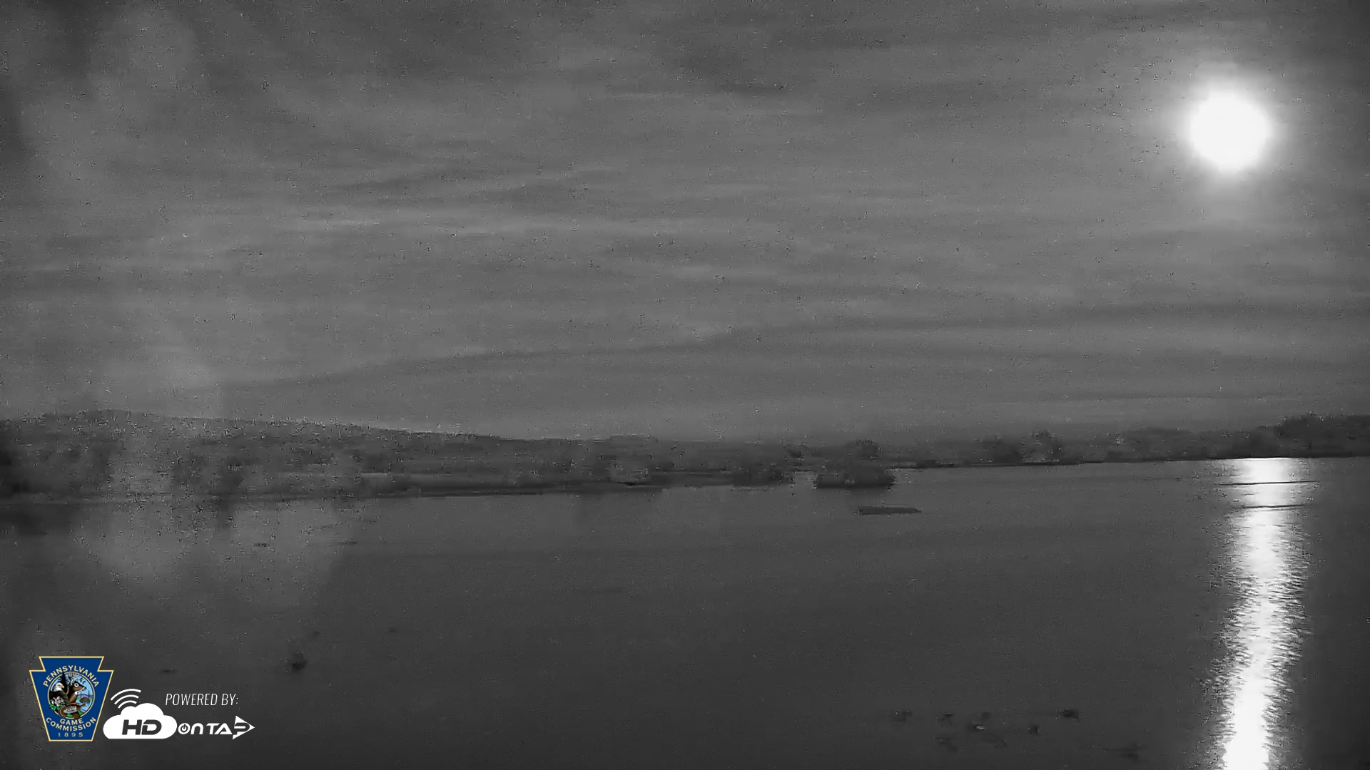 Snapshot of Pennsylvania Snow Geese Live Webcam taken Sep 25, 2026, 7:34pm EDT