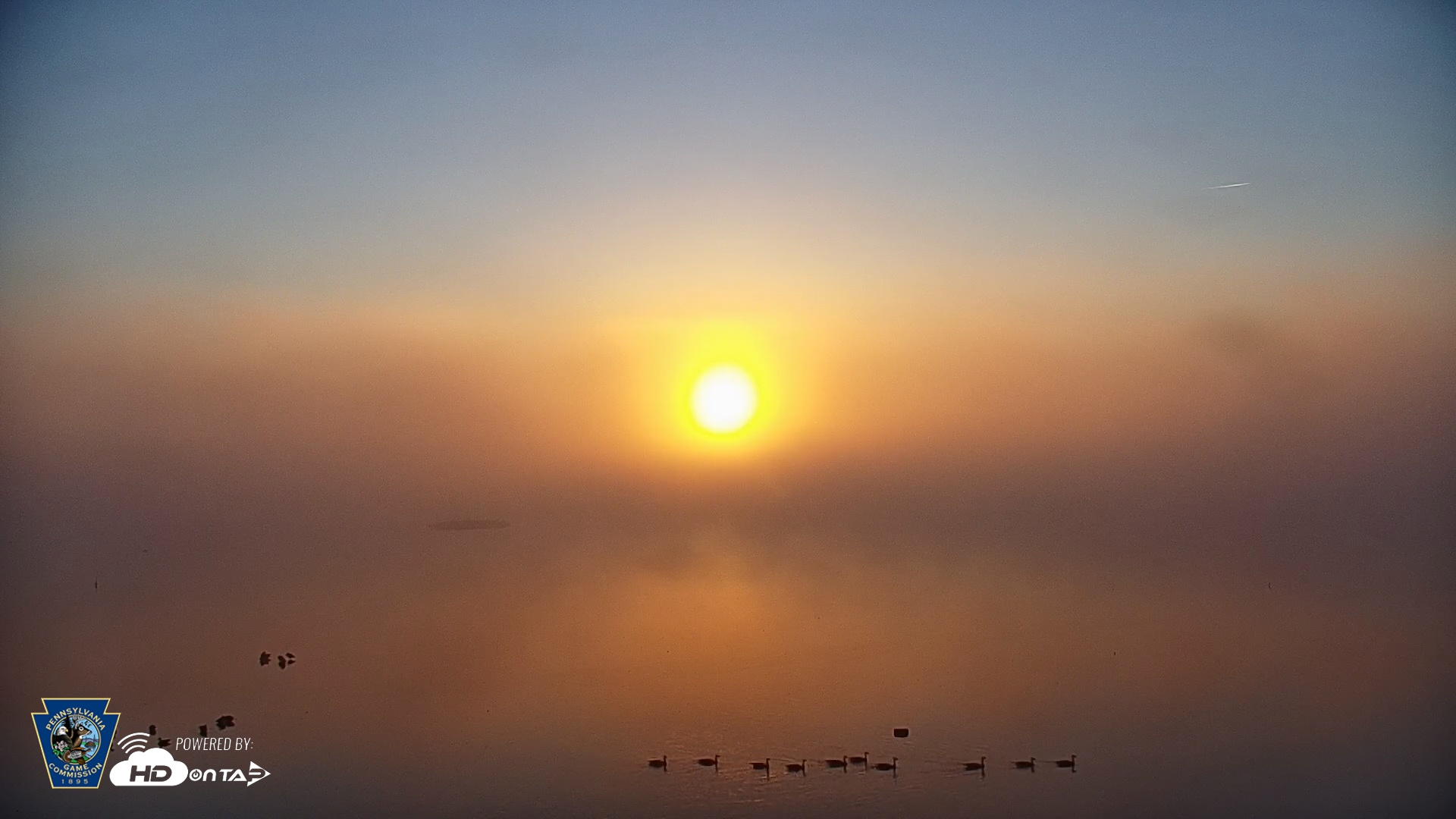 Snapshot of Pennsylvania Snow Geese Live Webcam taken Oct 4, 2025, 7:21am EDT