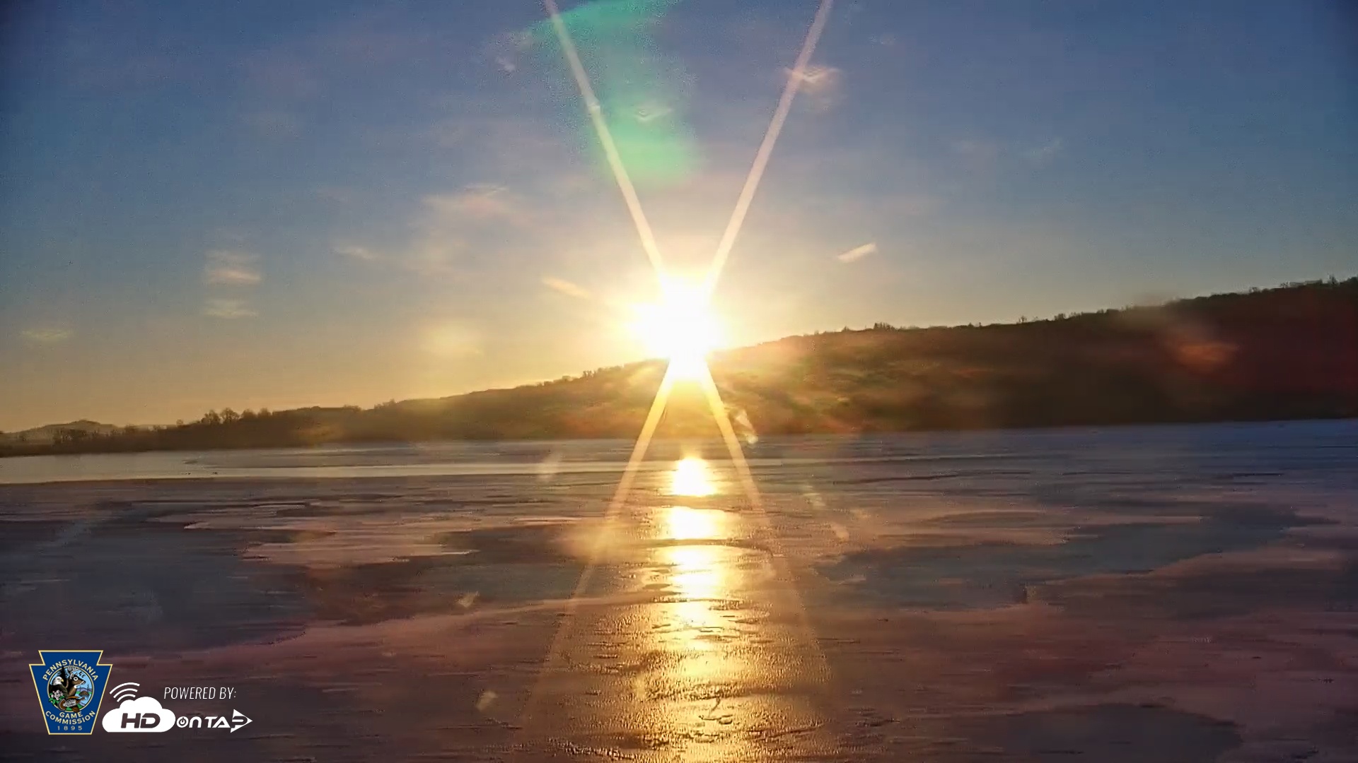 Snapshot of Pennsylvania Snow Geese Live Webcam taken Dec 18, 2025, 7:50am EST