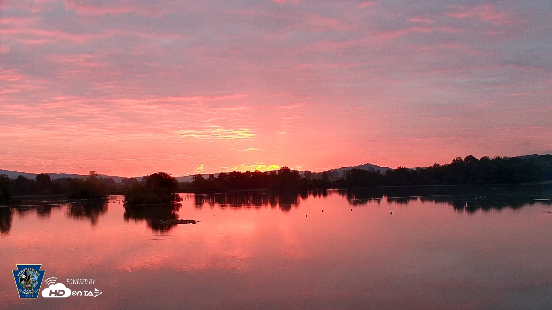 Snapshot of Pennsylvania Snow Geese Live Webcam taken Sep 30, 2026, 6:59am EDT