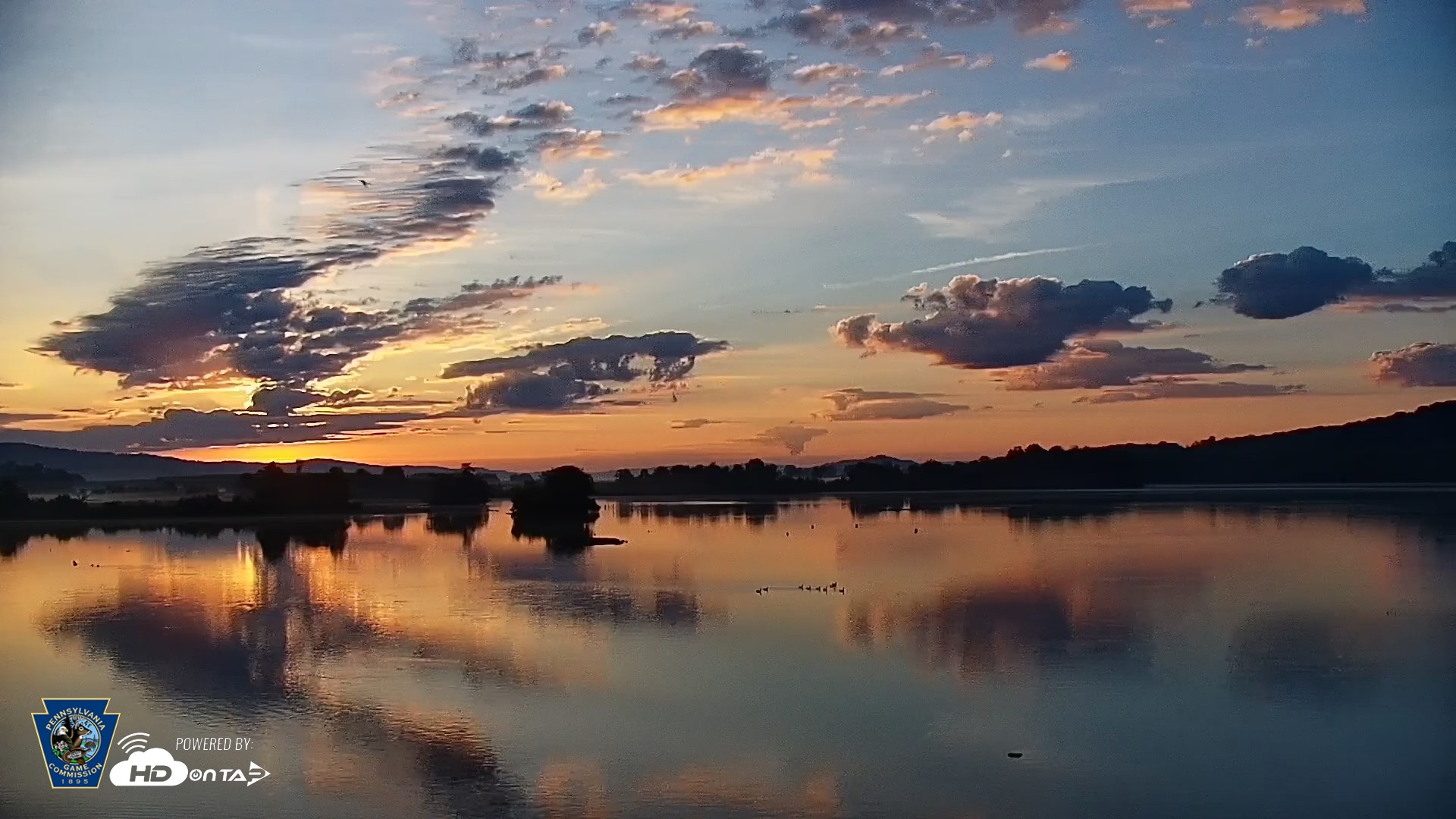Snapshot of Pennsylvania Snow Geese Live Webcam taken Aug 19, 2026, 6:34am EDT
