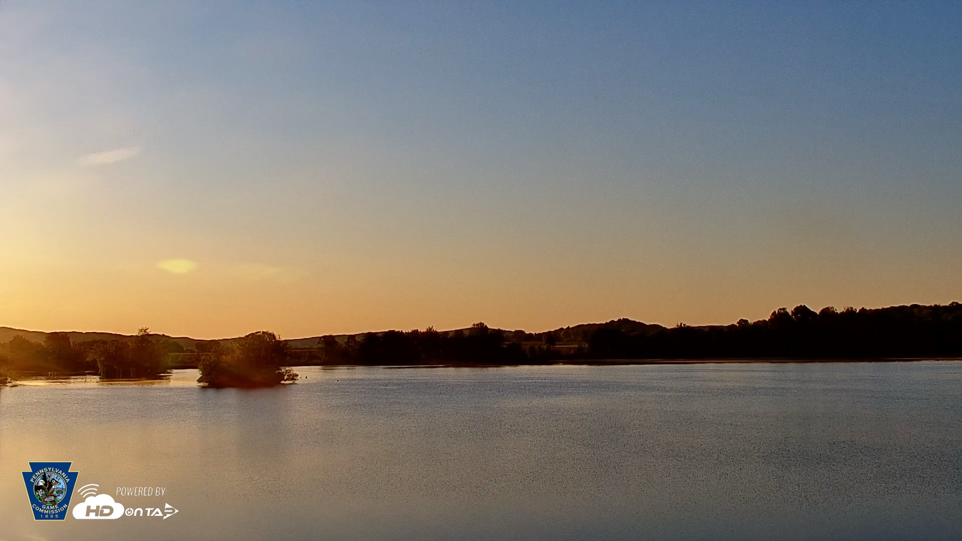 Snapshot of Pennsylvania Snow Geese Live Webcam taken May 12, 2026, 6:17am EDT