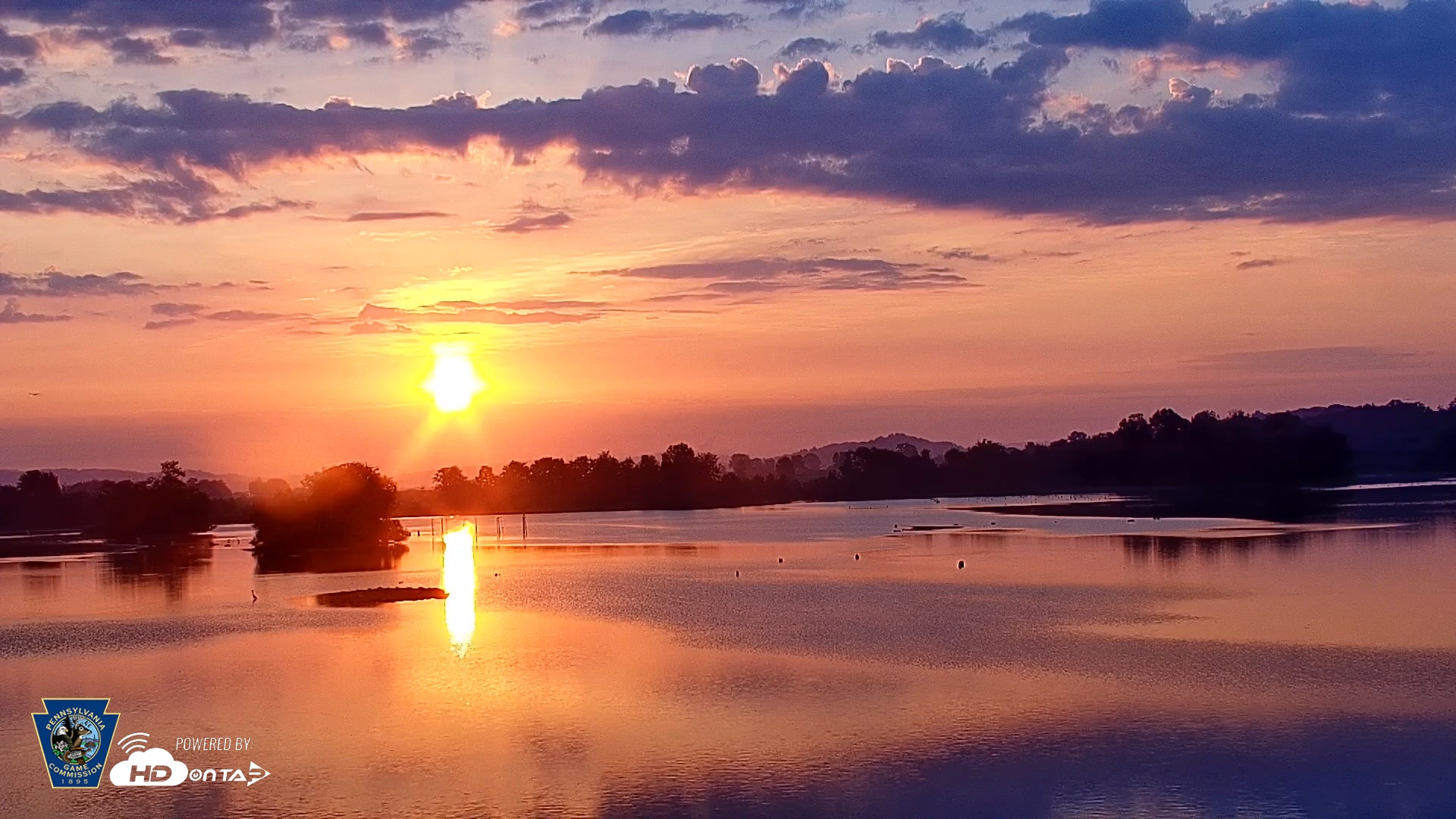Snapshot of Pennsylvania Snow Geese Live Webcam taken Sep 17, 2026, 7:03am EDT