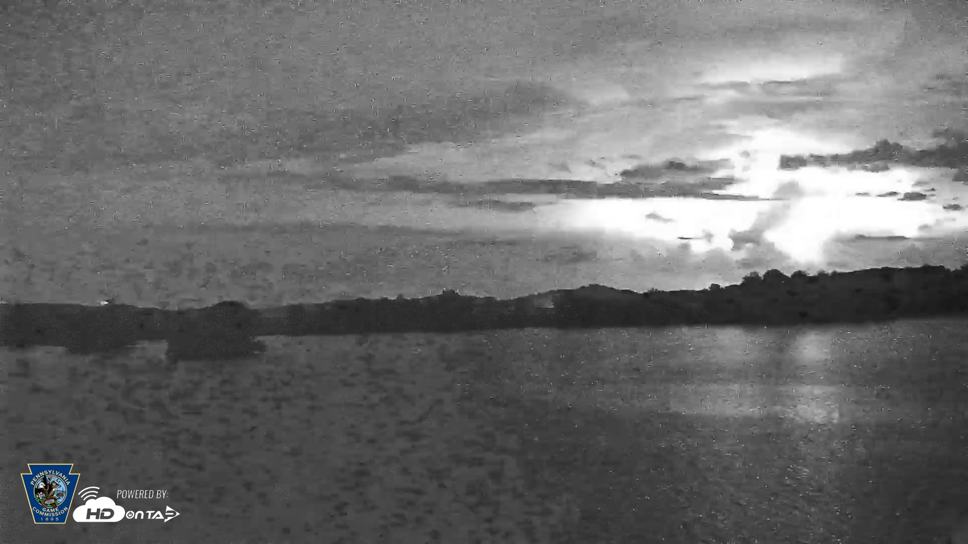 Snapshot of Pennsylvania Snow Geese Live Webcam taken Jun 11, 2026, 10:12pm EDT