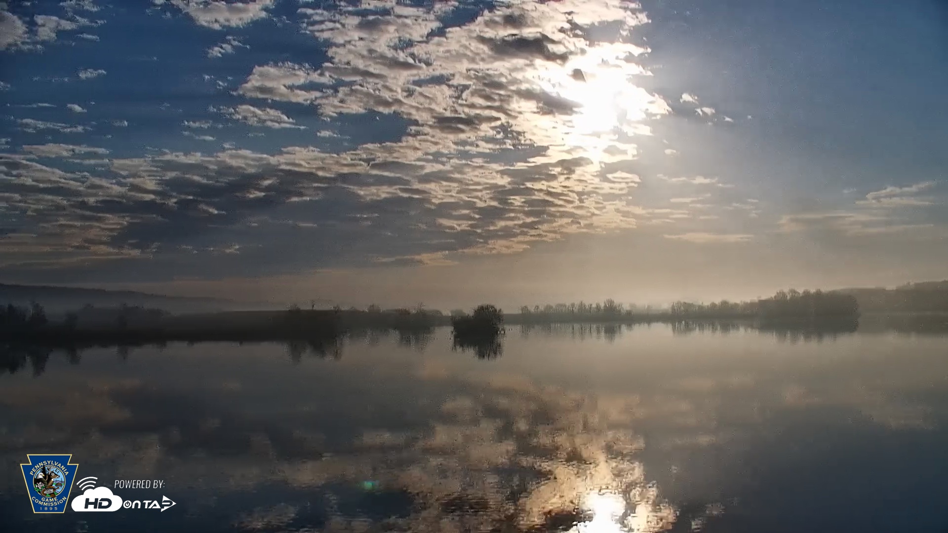 Snapshot of Pennsylvania Snow Geese Live Webcam taken Apr 4, 2026, 7:58am EDT