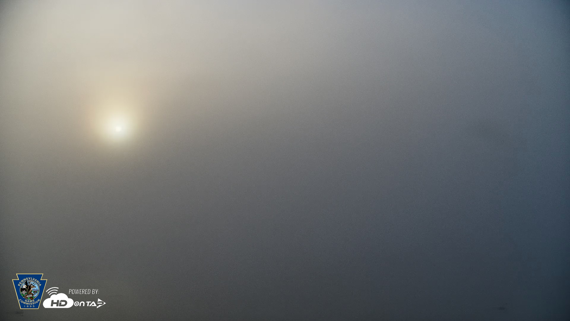 Snapshot of Pennsylvania Snow Geese Live Webcam taken Apr 27, 2026, 6:51am EDT