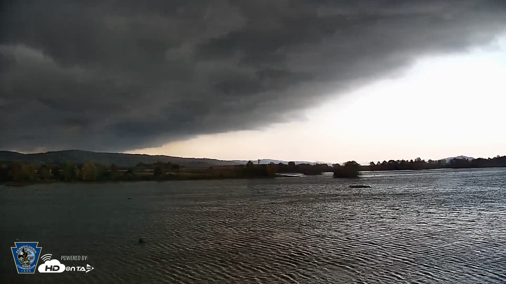 Snapshot of Pennsylvania Snow Geese Live Webcam taken Oct 16, 2026, 4:56pm EDT