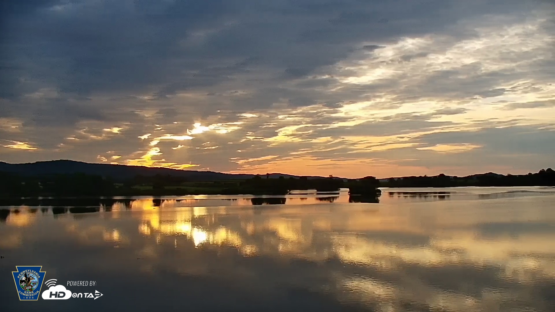 Snapshot of Pennsylvania Snow Geese Live Webcam taken Jul 18, 2025, 6:30am EDT