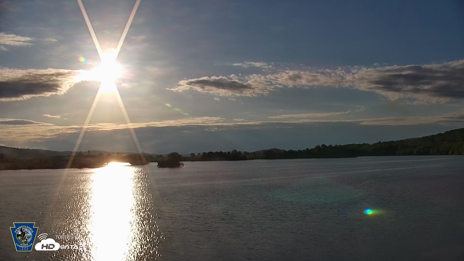 Snapshot of Pennsylvania Snow Geese Live Webcam taken May 3, 2026, 7:05am EDT