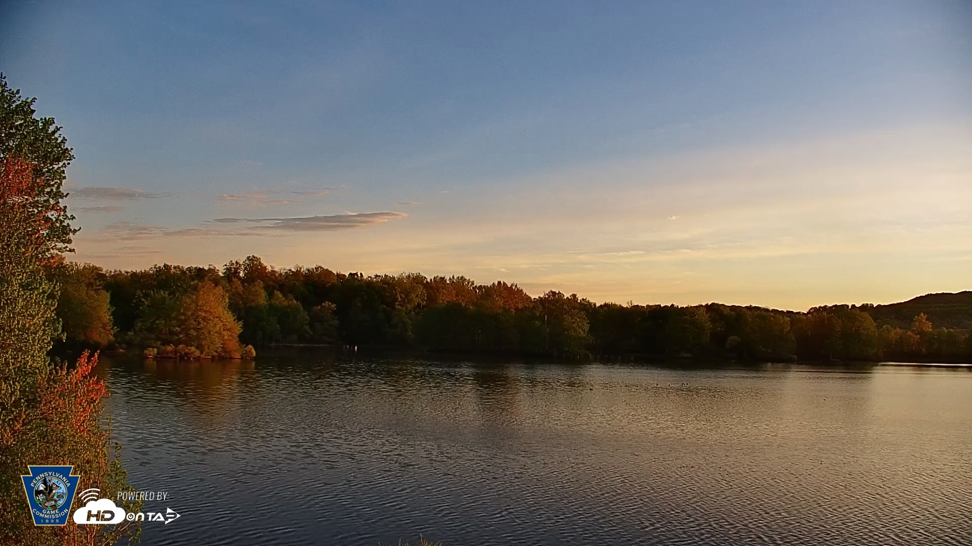 Snapshot of Pennsylvania Snow Geese Live Webcam taken Apr 28, 2026, 6:22am EDT