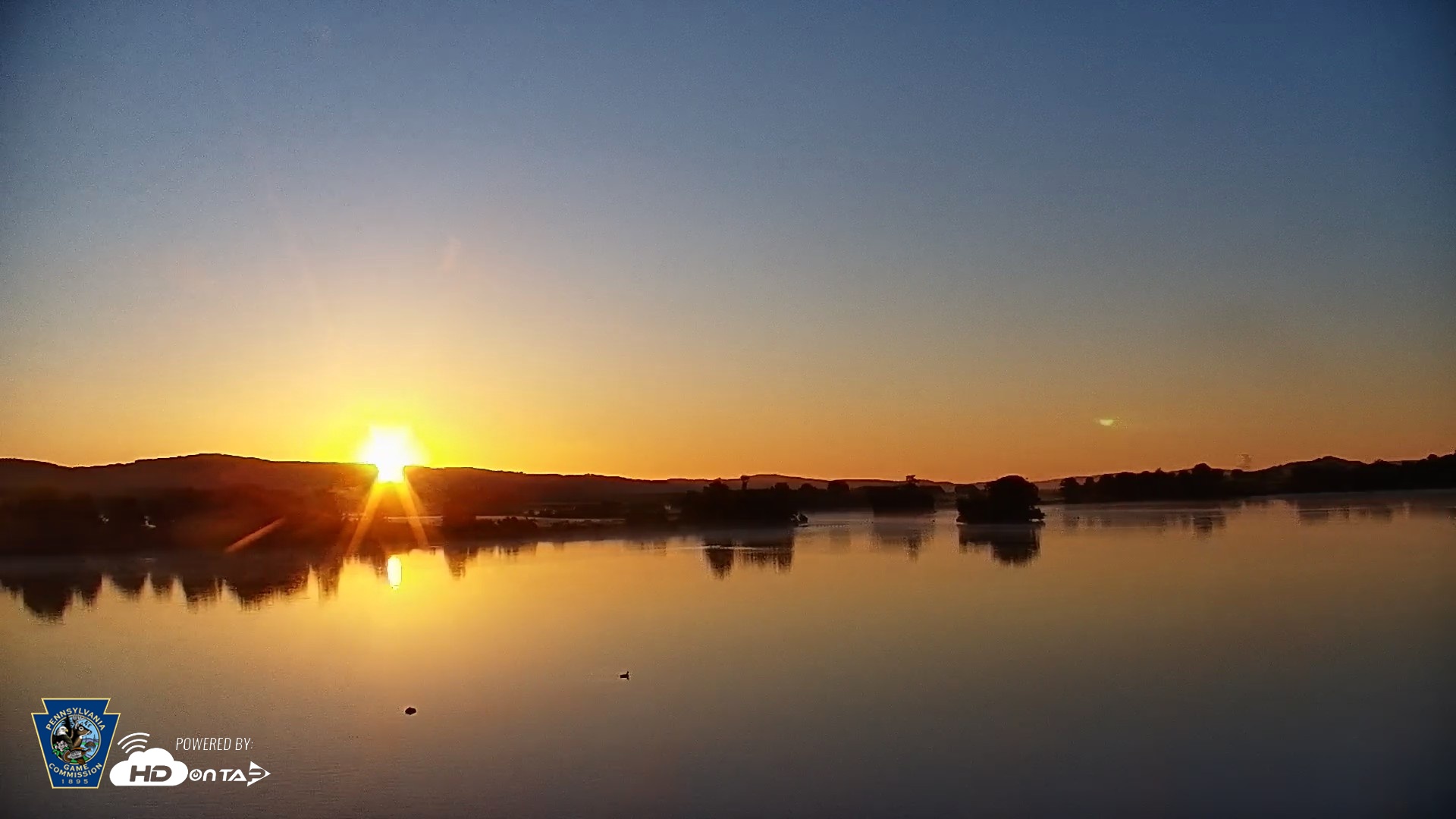 Snapshot of Pennsylvania Snow Geese Live Webcam taken Jun 2, 2026, 5:51am EDT