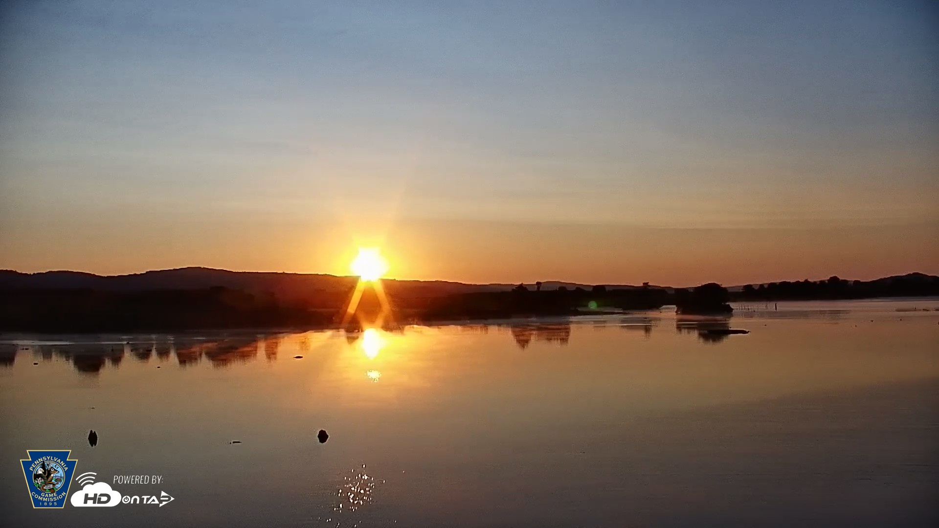 Snapshot of Pennsylvania Snow Geese Live Webcam taken Jul 24, 2026, 6:11am EDT