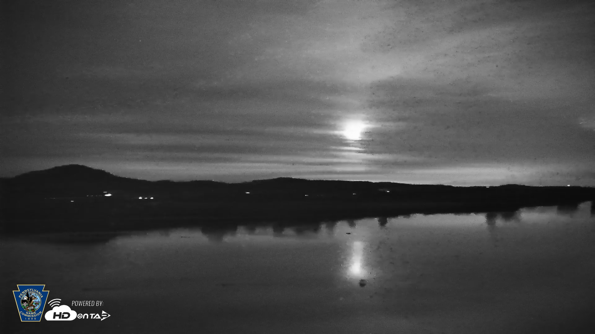 Snapshot of Pennsylvania Snow Geese Live Webcam taken Nov 6, 2025, 6:13pm EST