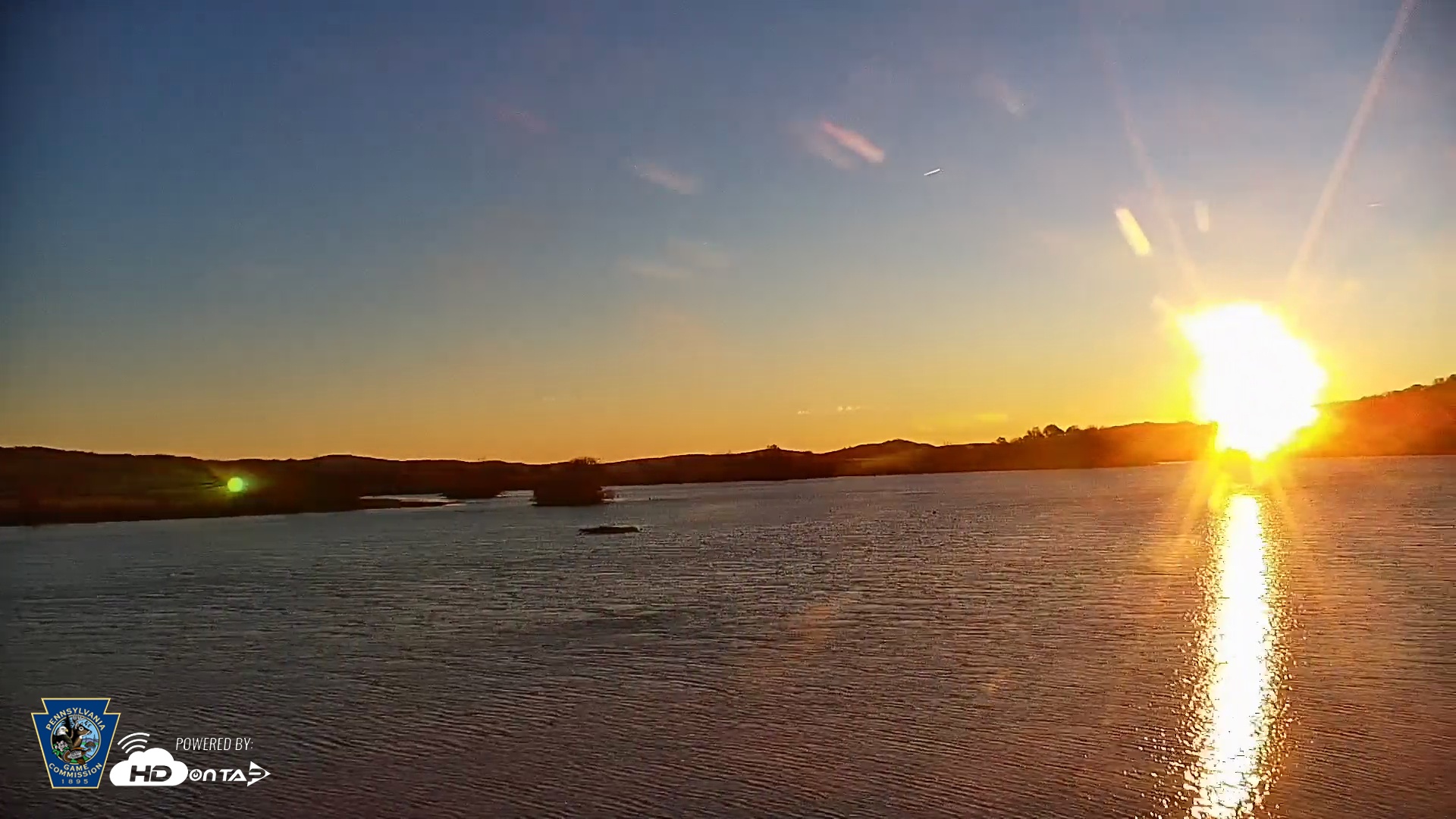 Snapshot of Pennsylvania Snow Geese Live Webcam taken Nov 6, 2025, 6:54am EST