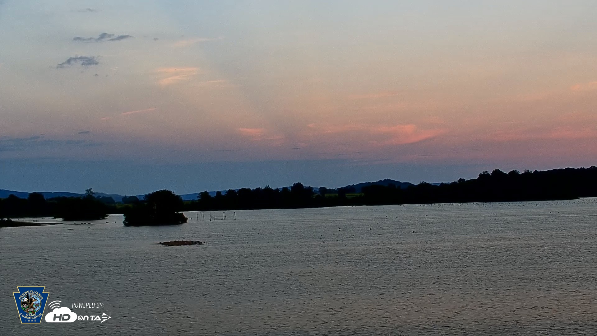 Snapshot of Pennsylvania Snow Geese Live Webcam taken Sep 9, 2026, 7:20pm EDT