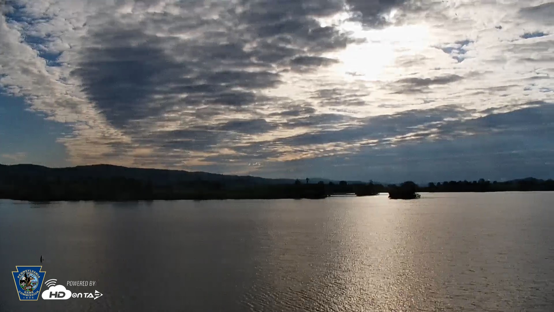 Snapshot of Pennsylvania Snow Geese Live Webcam taken May 7, 2026, 7:36am EDT